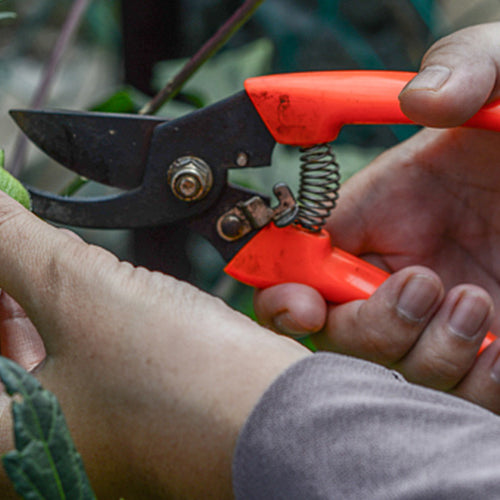 The Ultimate Guide to Garden Tools for Every Green Thumb