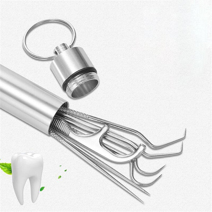 8pcs Stainless Steel Toothpick Set Metal Flossing Portable Toothpick Box Holder
